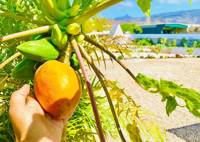 Apartmán Arrebol Con Jacuzzi, Piscina Y Naturaleza *