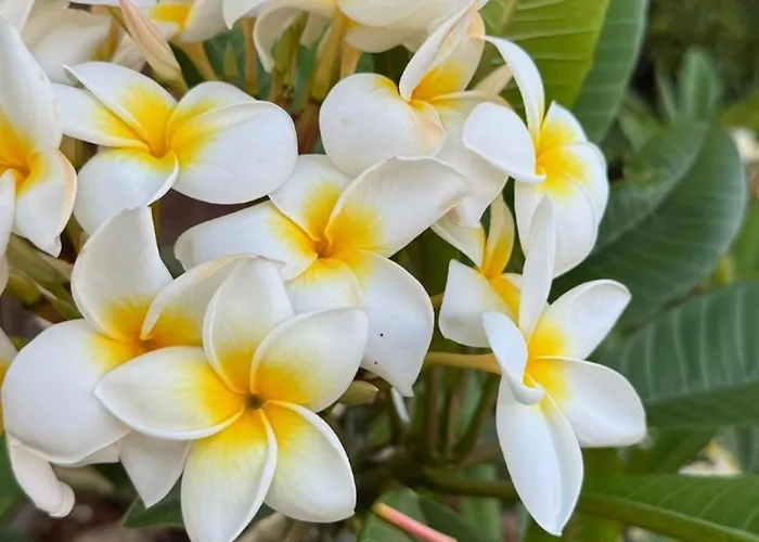 Apartmán Arrebol Con Jacuzzi, Piscina Y Naturaleza