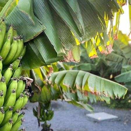Lägenhet Arrebol Con Jacuzzi, Piscina Y Naturaleza *