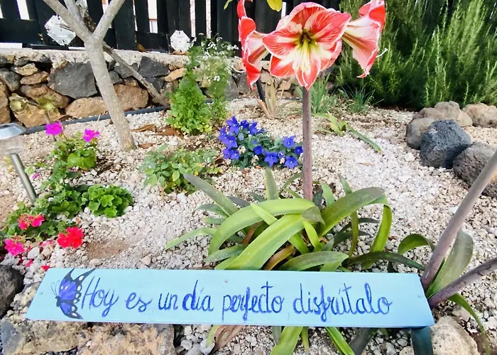 Arrebol Con Jacuzzi, Piscina Y Naturaleza Διαμέρισμα Buzanada