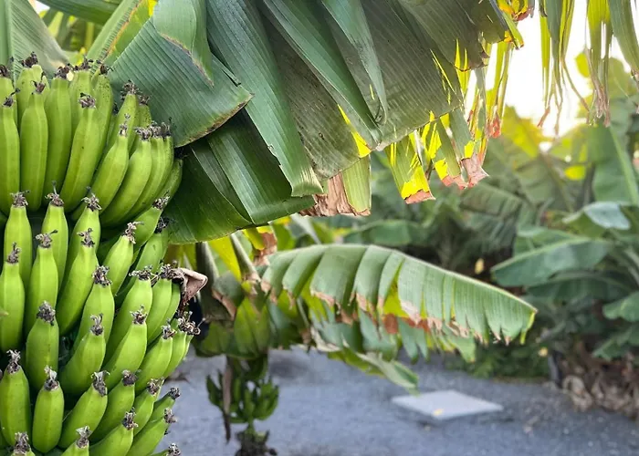 Apartman Arrebol Con Jacuzzi, Piscina Y Naturaleza *